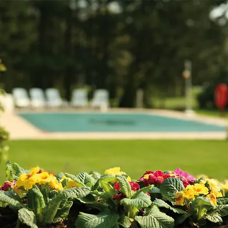 Park Szálloda 4*